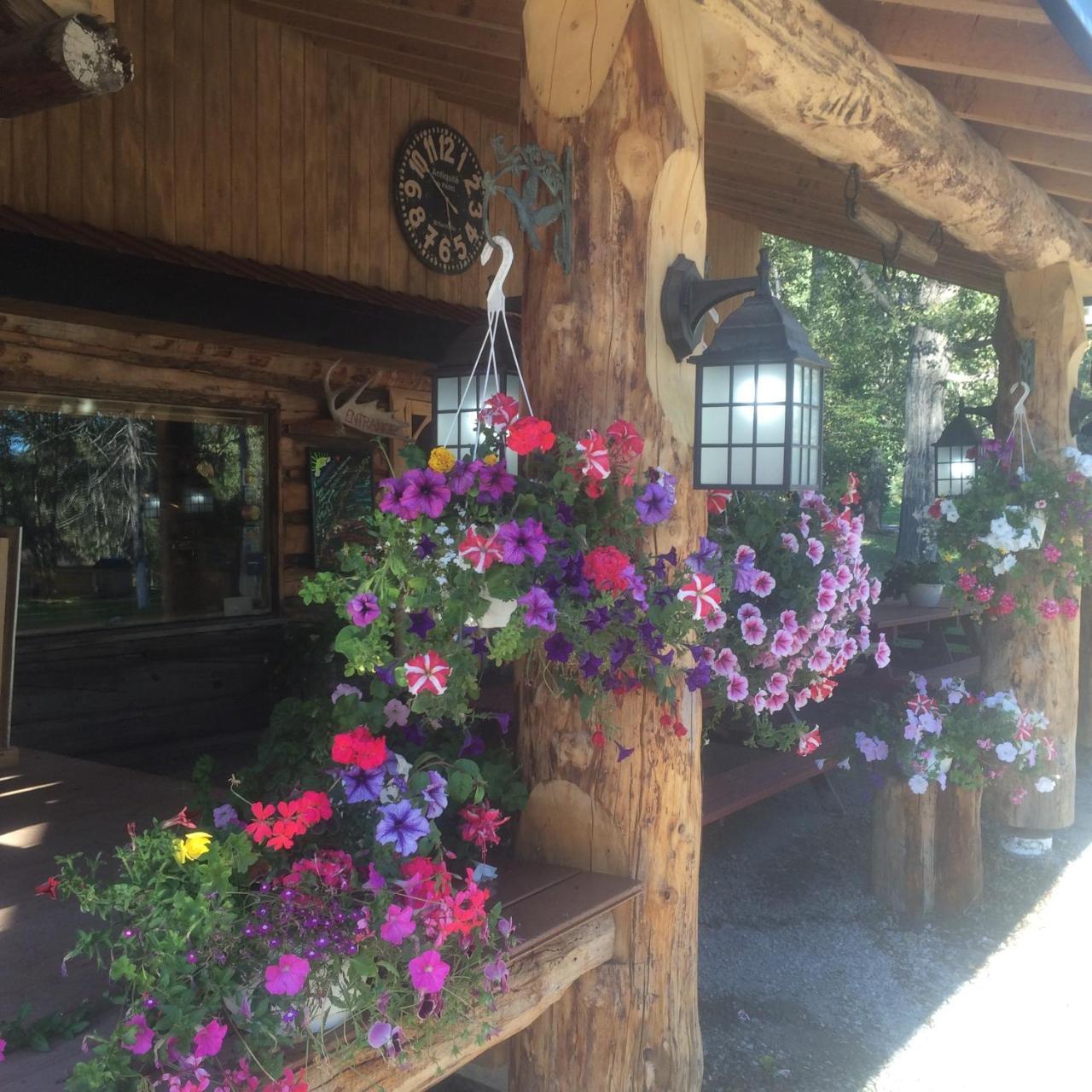 Tetsa River Lodge Εξωτερικό φωτογραφία